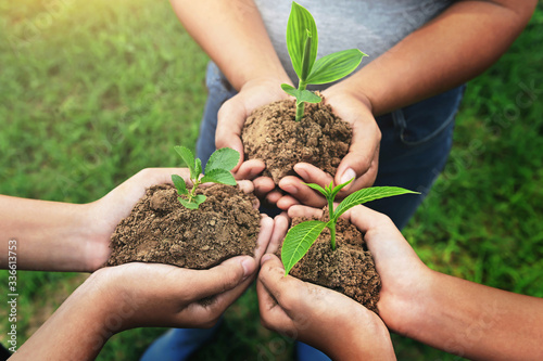 Fotografía three hand holding young Plant and standing group