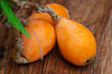 Canvas Print - Loquat fruit, named for its shape resembling a lute instrument