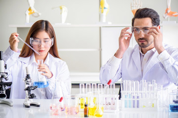 Wall Mural - attractive happiness scientist lab technician assistant analyzing sample in test tube at laboratory.