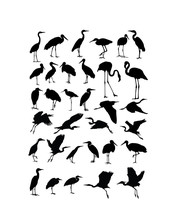 Heron, Egret  And Stork Bird Silhouettes, Art Vector Design