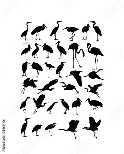Fotomural Heron, Egret and Stork Bird Silhouettes, art vector design
