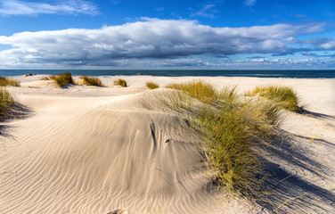 The empty beaches of the spring of 2020