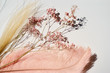 Leinwandbild Motiv Pink-yellow feather and dry flowers on white background.