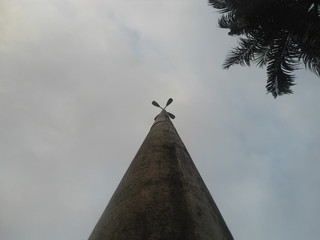 sky and tree