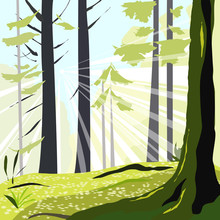 Spring Forest On A Sunny Day With Trees