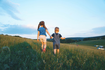 Wall Mural - sister and brother holding hands in field