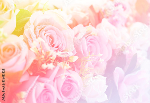 Naklejki róże   niewyrazne-kwitnace-kwiaty-rozy-w-stylu-pastelowych-kolorow-tla