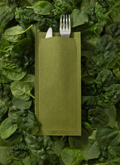 Wall Mural - Green cutlery set close up