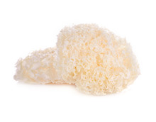  Tremella Fuciformis White Fungus Isolated On White