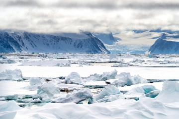 Wall Mural - pack ice in the arctic circle at 80 degrees north