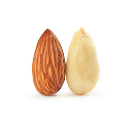 Two almonds on a white background