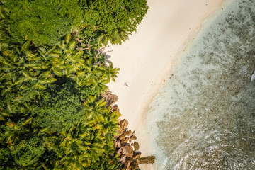 Wall Mural - Female sunbathing on tropical sandy beach surrounded by palm trees and turquoise blue ocean lagoon. Aerial drone shot. Seychelles