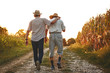 © BalanceFormCreative - Two old friends. Two senior friends walks through corn field on sunset.