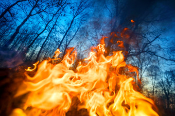 Wall Mural - Burning forests and fields