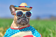 Funny French Bulldog Dog Dressed Up With Sunglasses, A Colorful Straw Hat And Poncho Gown In Front Of Blurry Landscape In Summer