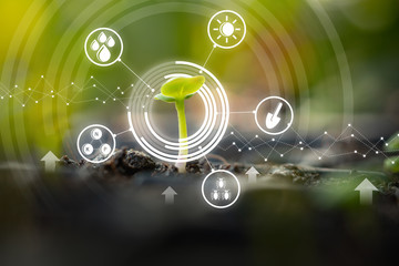 growing seedling in cultivated agricultural farm field with modern technology concepts