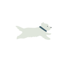 West Highland White Terrier Running White Dog Flat Vector Illustration On White Background