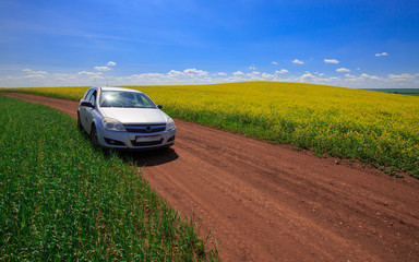 a car on a country road on the edge of a blooming rapeseed field on a sunny day