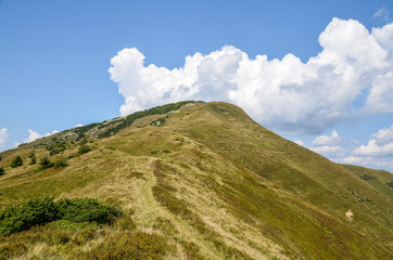 View of the Carpathian Mountains near the top of Mount Strymba. Summer landscape panorama with green forest meadow and blue cloudy sky. Ukraine