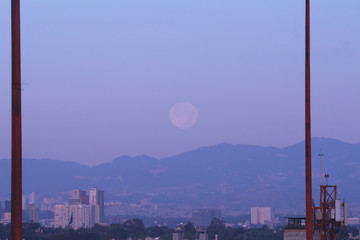 Wall Mural - luna llena en la ciudad 