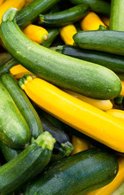 Close Up Of†green And Yellow Squash
