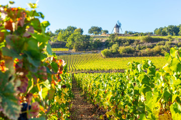 15 September 2019. Sorine Mill in Burgundy, France.