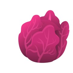 Poster - Violet cabbage icon. Cartoon of violet cabbage vector icon for web design isolated on white background