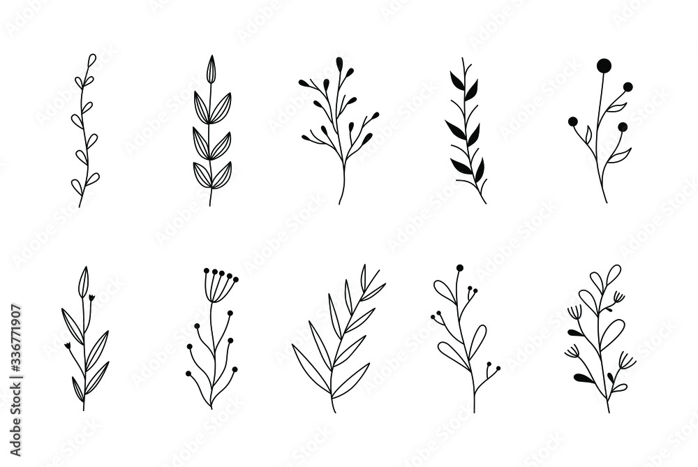 Floral graphic sketch drawing. Elegant simple tattoo design, hand drawing wild plants. Organic botanical vector set, ink illustration of flowers - obrazy, fototapety, plakaty 
