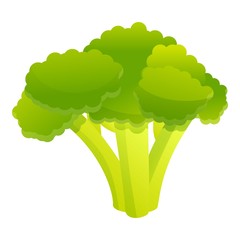Poster - Broccoli cabbage icon. Cartoon of broccoli cabbage vector icon for web design isolated on white background