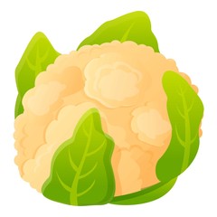 Poster - White green cabbage icon. Cartoon of white green cabbage vector icon for web design isolated on white background