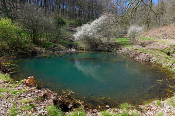 Sticker - Amphibienteich / Waldweiher im Staatsforst Burgholz, Wuppertal Cronenberg