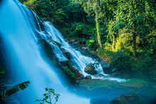 Scenic View Of Waterfall In Forest
