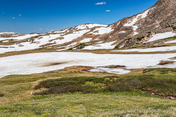 Wall Mural - Beartooth Highway Wyoming and Montana