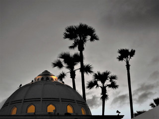 Dome and some palms in the beach