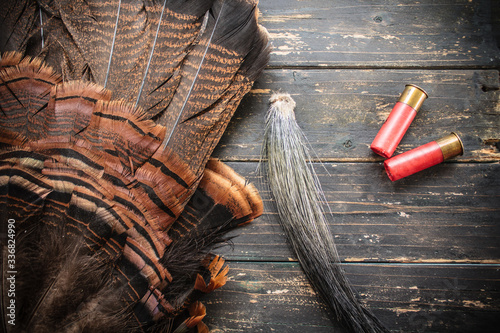 Fotomural Eastern Wild Turkey Hunting Background