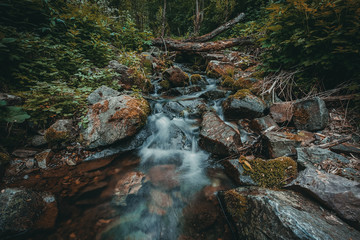 Beautiful landscape. A crystal clear mountain stream flows down stones among green moss and grass. Pure water.