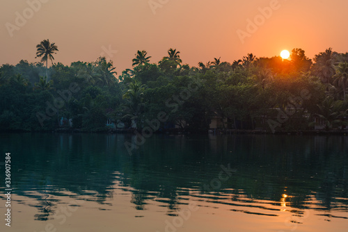 Cuadros en Lienzo Jungle of palm trees with atmospheric haze at sunset, along a freswater lake in