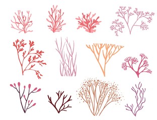 Wall Mural - set of pink colored seaweeds underwater ocean plants sea coral elements flat vector illustration on 