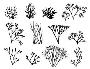Wall Mural - set of black colored seaweeds silhouette underwater ocean plants sea coral elements flat vector illu
