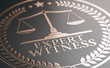 Legal Expertise. Expert Witness Service