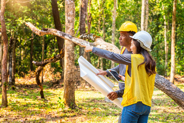 The supervisors are constructing roads in the forest. Young Engineer Male and female holding blueprint and tablet on hand. Engineer team working on project at the forest. Technical operators.