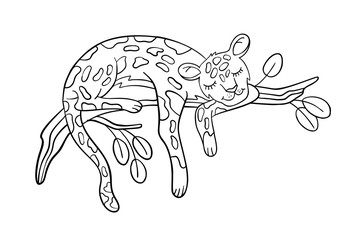 Vector coloring page with cute leopard sleeping on a branch. Kid’s coloring book in cartoon doodle style isolated on white. For preschool educational games and materials, nursery posters and prints. 