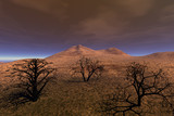 Fototapeta Sawanna - Desert, trees without leaves, dry ground, rocky mountains and hazy sky.