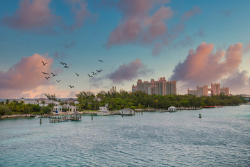 Canvas Print - Home on a finger of land in the Bahamas with a pink resort in the background