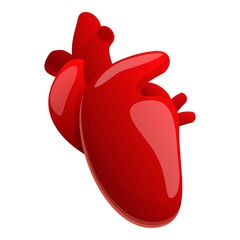 Poster - Healthy human heart icon. Cartoon of healthy human heart vector icon for web design isolated on white background