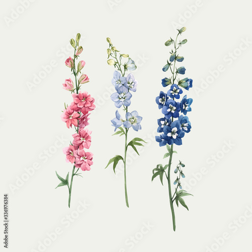 Cuadros en Lienzo Beautiful vector watercolor floral set with pink, white and blue delphinium flowers