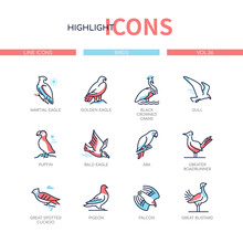 Bird Species - Modern Line Design Style Icons Set