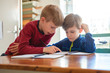 © Stock Rocket - Brothers learning together at home