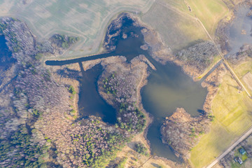Wall Mural - Aerial top down view of lake between forest and fields