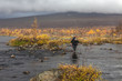© Tatiana - Hiker with backpack crosses cold creek. on a trekking tour in Sarek, Sweden, autumn, life style